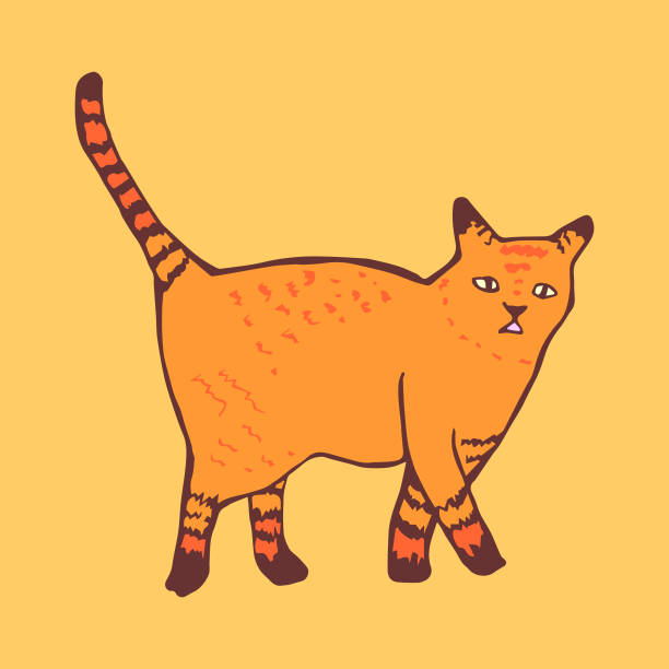 Orange Tabby House Cat Hand-Drawn Vector Clip Art Illustration vector art illustration