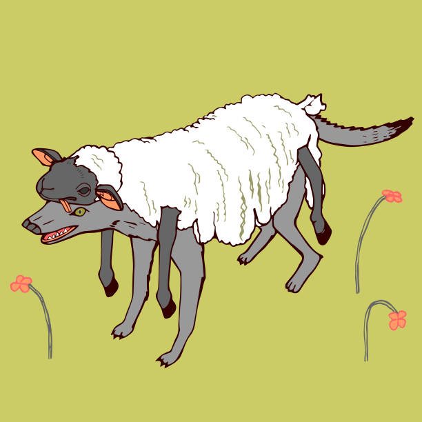 Wolf in Sheep's Clothing Hand-Drawn Vector Clip Art Illustration Wolf in Sheep's Clothing Disguise and Deception Vector Graphic wolf in sheeps clothing stock illustrations