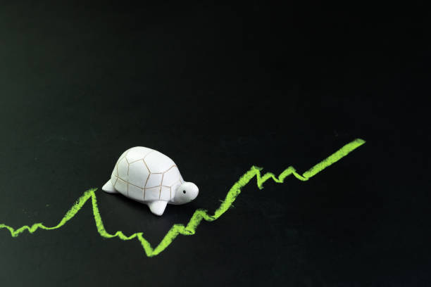 slow but stable investment or low fluctuate stock market concept, miniature figure turtle or tortoise walking on chalkboard with drawing green price line graph of stock market value - stock market data insurance savings finance imagens e fotografias de stock