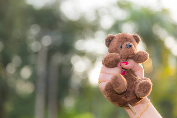 istock Brown bear doll sitting alone on the lawn 1161094568
