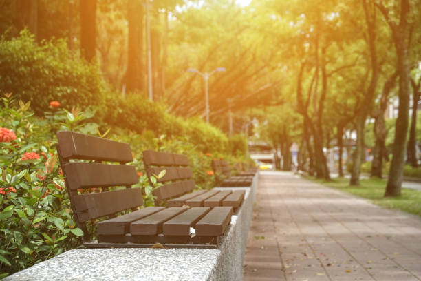 istock Trail in the park. Natural scenery in Asia. 1161111988