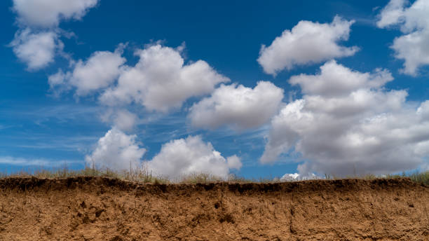 istock white clouds float in the sky above the sea 1161112140