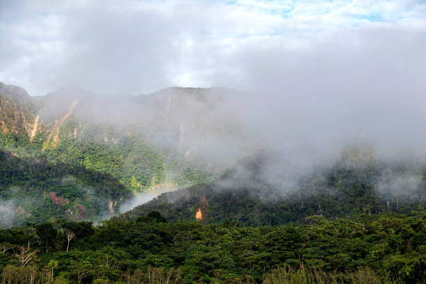 istock Green rainforest mountains in clouds, Amazon river basin, South America 1161117022