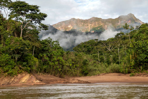 Green rainforest mountains in clouds, Amazon river basin at magical sunrise, South America