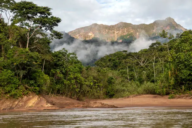 Photo of Green rainforest mountains in clouds, Amazon river basin, South America
