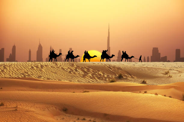 istock Dubai skyline at horizon with camel ride caravan silhouette in desert 1161117737