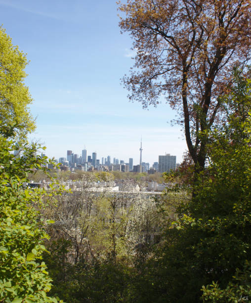 istock Toronto Skyline, enframed by nature 1161120543