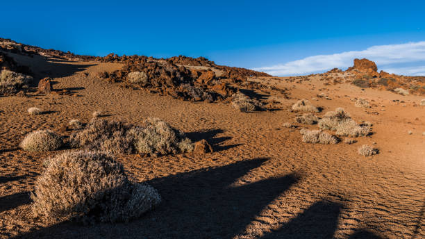istock The shadows of the evening in stony desert 1161121701