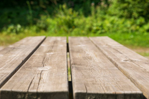 Rustic pine Picnic table. Untouched nature,  meadow grass in the background.