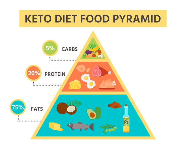 Nutrition infographics: food pyramid diagram for the ketogenic diet. Nutrition infographics: food pyramid diagram for the ketogenic diet. Healthy eating concept. Vector illustration atkins diet stock illustrations