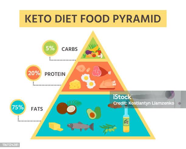 Nutrition Infographics Food Pyramid Diagram For The Ketogenic Diet Stock Illustration - Download Image Now