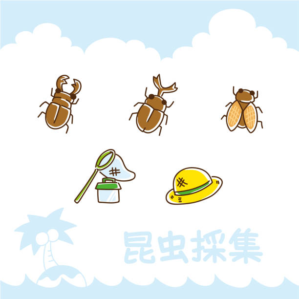 Insect collecting Illustration of cute summer icons set. I wrote this like handwriting. / Japanese translation "Insect collecting" cicada stock illustrations