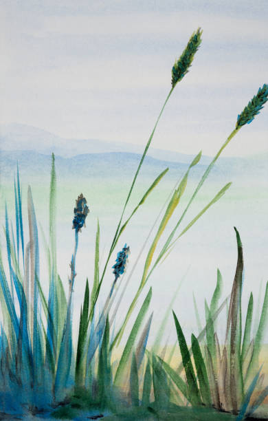 istock Watercolor Painting Of Grass 1161128591