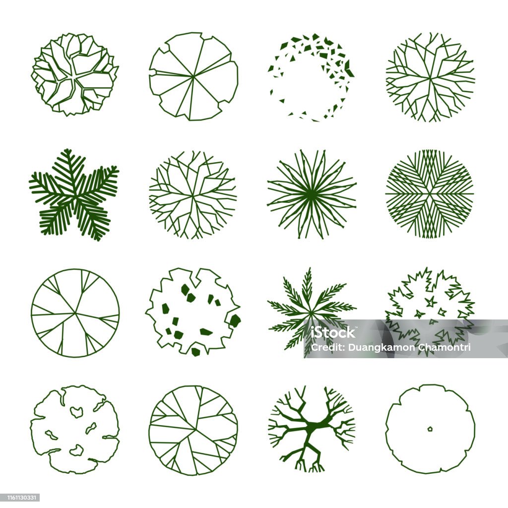 Treeplan Object Plan Tree 2 Stock Illustration - Download Image Now - Tree, Symbol ...
