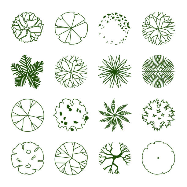 Tree Cap Line 690+ Tree Top Line Stock Illustrations, Royalty-Free Vector Graphics ...