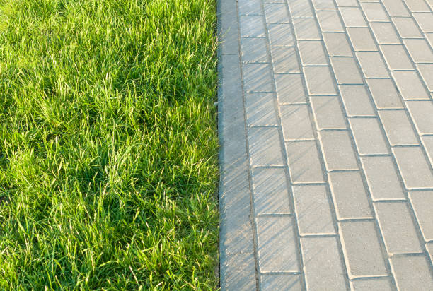 istock Paving stones on the border with green grass 1161130910