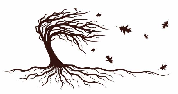 Tree with roots. A symbol of a tree with roots. wind silhouettes stock illustrations