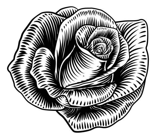  Ilustración de Rose Flower Woodcut Estilo De Grabado y más Vectores Libres de Derechos de Rosa