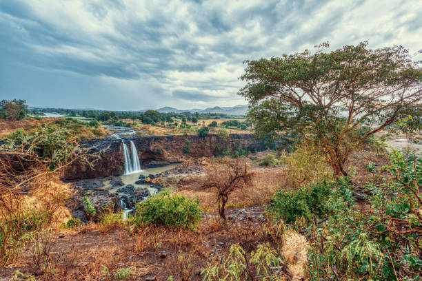 Beautiful view of Blue Nile Falls without water in dry season. Fill on the Blue Nile river. Nature and travel destination. Ethiopia wilderness, Amhara Region, near Bahir Dar and Lake Tana