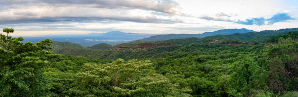 マゴ国立公園、オモバレー、エティオピア - africa rain east africa ethiopia ストックフォトと画像