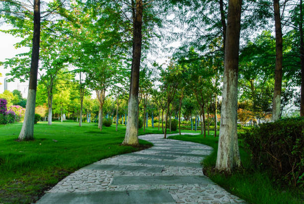 istock Clean and beautiful city park, lush vegetation, sunny, a pedestrian walk through 1161139708