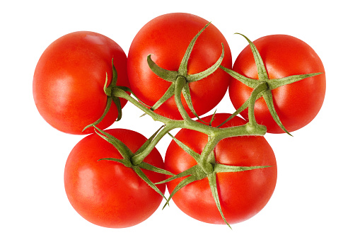 Branch of five fresh red tomatoes, isolated on white background