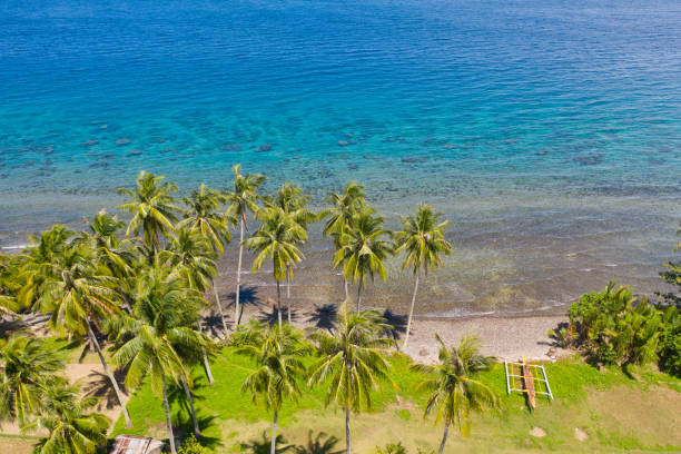 istock Landscape with coconut trees and turquoise lagoon, view from above 1161145395