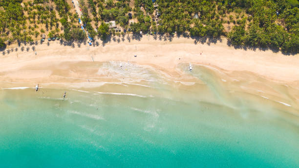 istock White sandy beach with palm trees and a beautiful lagoon 1161145701