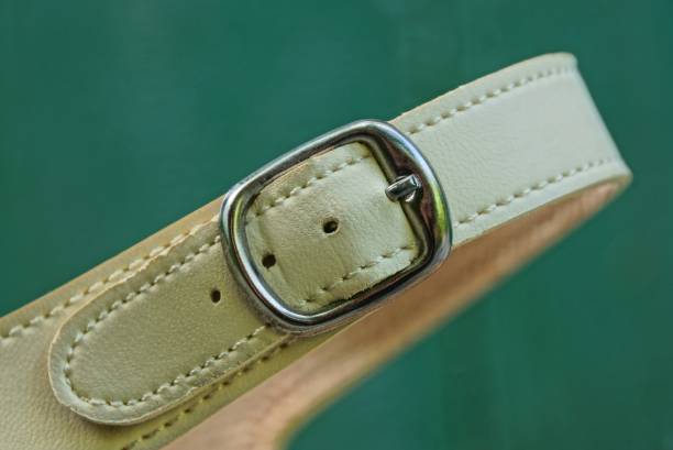 istock brown leather strap with gray metallic clasp on shoes 1161147910
