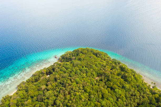 istock White sandy beach with palm trees and a beautiful lagoon.Tropical island with forest on a coral reef, top view 1161148057
