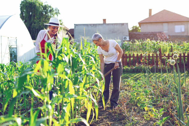 istock Two women working in a botanical garden 1161148088