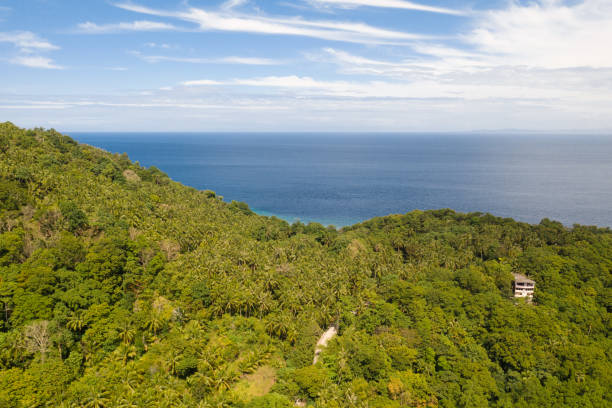 istock Rainforest on the hills near the sea 1161148444