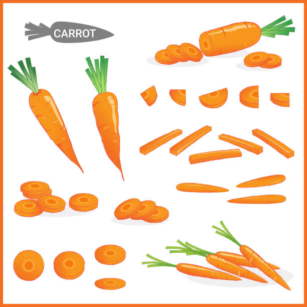 ilustraciones, imágenes clip art, dibujos animados e iconos de stock de conjunto de verduras de zanahoria fresca con tapas de zanahoria en varios cortes y estilos en formato de ilustración vectorial - green ground juice freshness