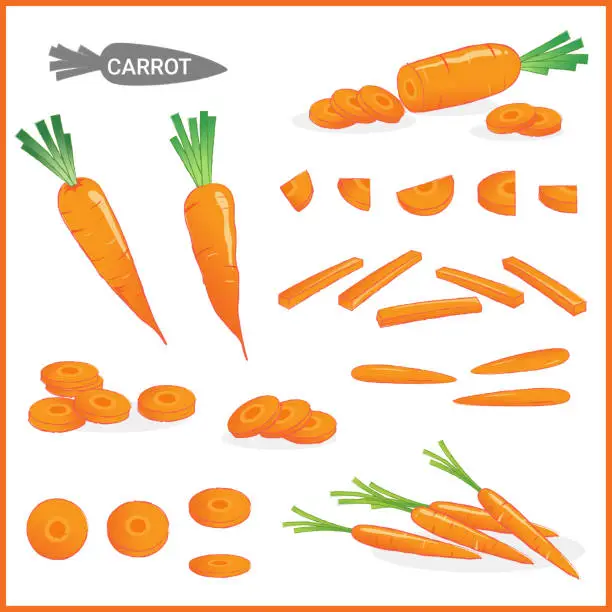 Vector illustration of Set of fresh carrot vegetable with carrot tops in various cuts and styles in vector illustration format