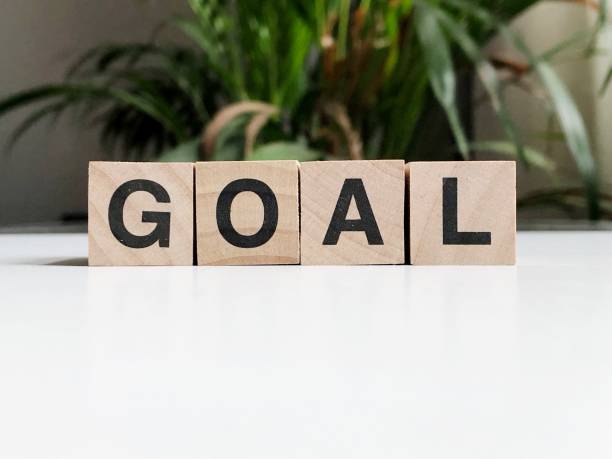 istock Goal written with wood cubes 1161154763