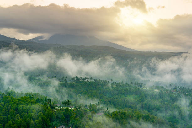 North of Bali. Mountains covered with rainforest in rain clouds and fog.