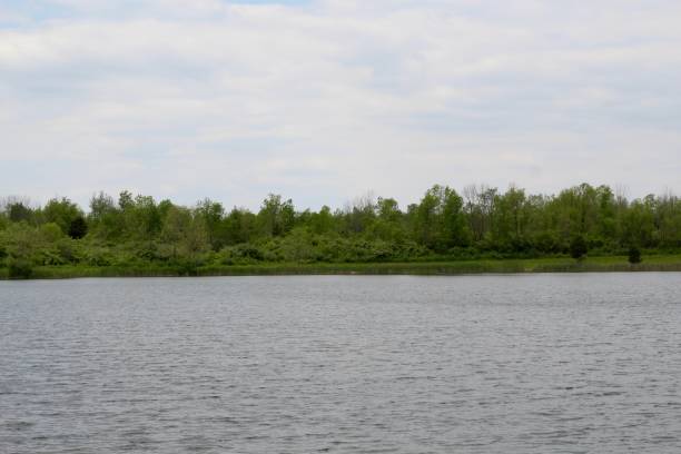 istock Green Landscape and Lake 1161157322
