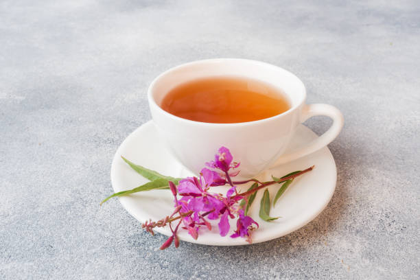 istock Useful herbal tea from fermented leaves fireweed on grey background. Traditional Russian Koporye Tea Ivan Chai Copy space. 1161160389