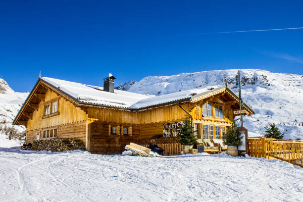 Snowy Alpine Mountain Resort with Skiers