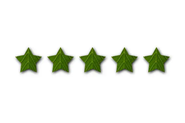 Photo of Five stars made from leaf