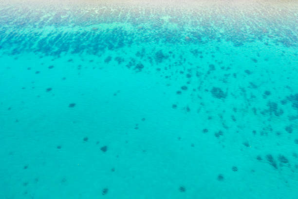 istock Tropical sea details, blue water in daylight 1161164702