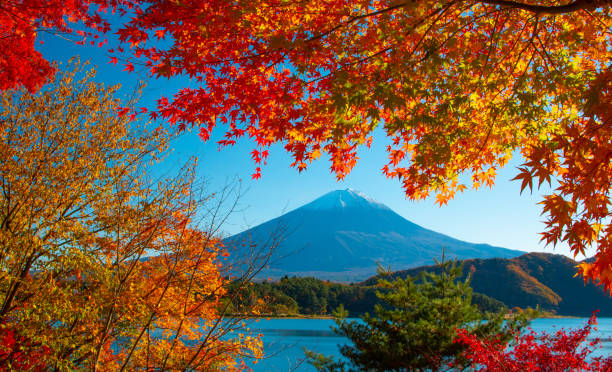 istock Colorful Autumn Season 1161169012