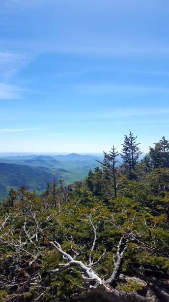istock The New Hampshire Summits (photo3) 1161170920