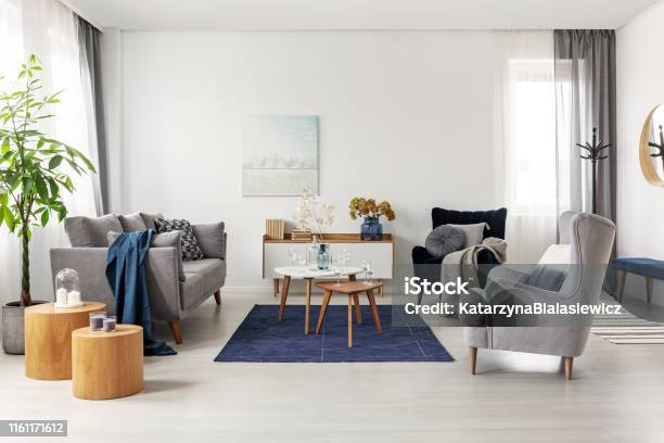 Grey And Navy Blue Living Room Interior With Comfortable Sofa And Armchairs Stock Photo - Download Image Now