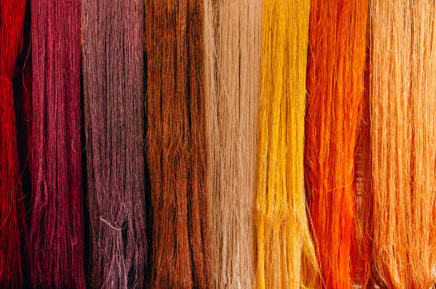 Details of natural colourful silk thread fibre with natural colour dye process. Traditional sericulture Thai silk making in Countryside