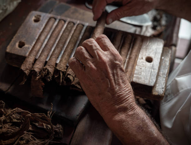 istock Cigar rolling or making by torcedor in cuba, Pinar del rio province 1161178154