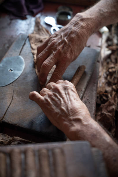istock Cigar rolling or making by torcedor in cuba, Pinar del rio province 1161178156