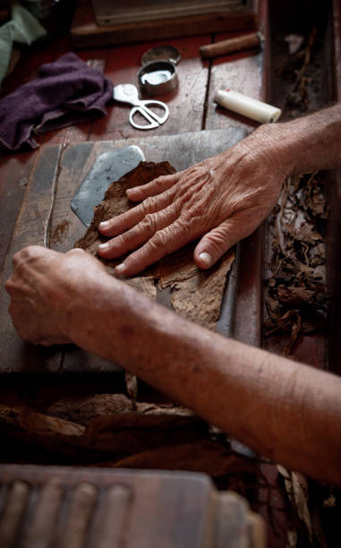 istock Cigar rolling or making by torcedor in cuba, Pinar del rio province 1161178288