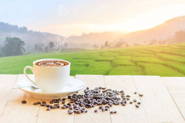 istock hot coffee with rice terrace view on background / hot cappuccino with nice view landscape 1161179622