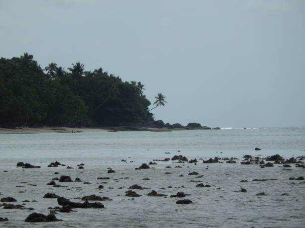 istock Seychelles beach and island 1161182029